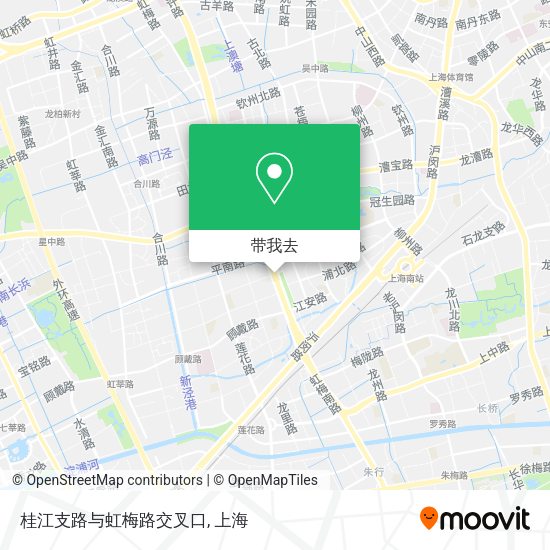 桂江支路与虹梅路交叉口地图