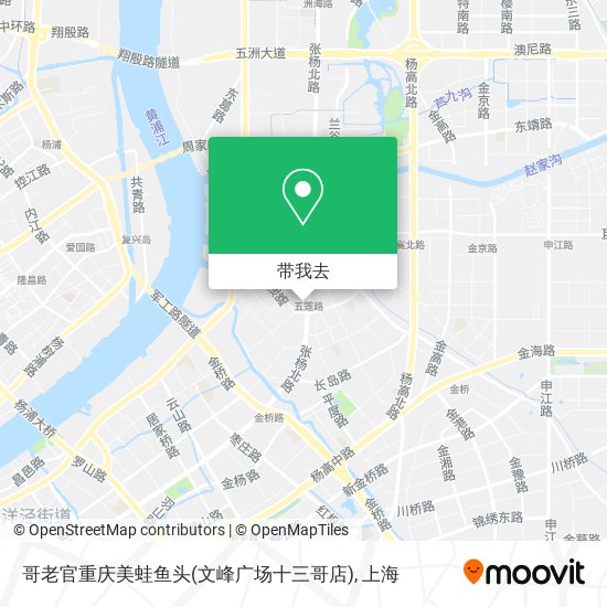哥老官重庆美蛙鱼头(文峰广场十三哥店)地图