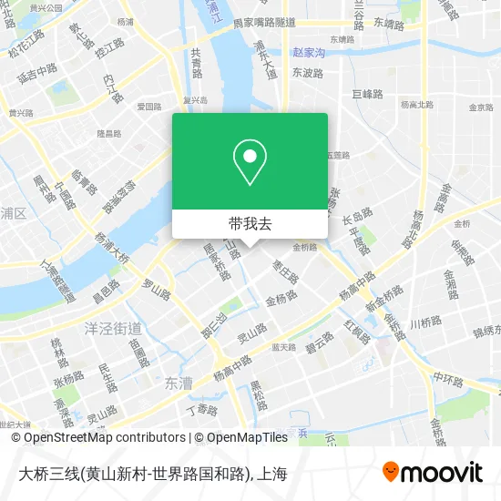 大桥三线(黄山新村-世界路国和路)地图