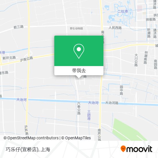 巧乐仔(宣桥店)地图