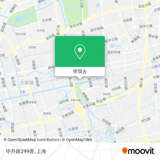毕升路299弄地图
