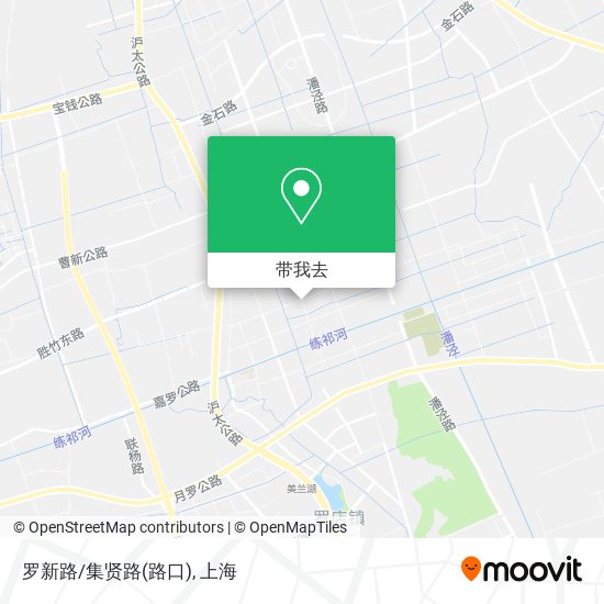 罗新路/集贤路(路口)地图