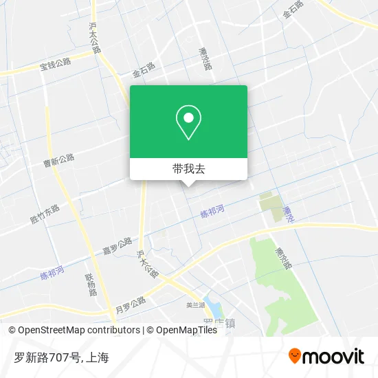 罗新路707号地图