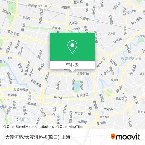 大渡河路/大渡河路桥(路口)地图