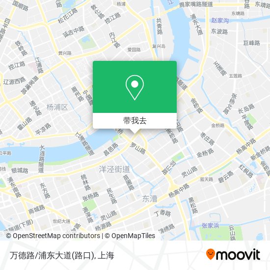 万德路/浦东大道(路口)地图