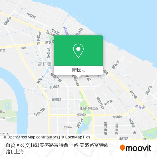 自贸区公交1线(美盛路富特西一路-美盛路富特西一路)地图