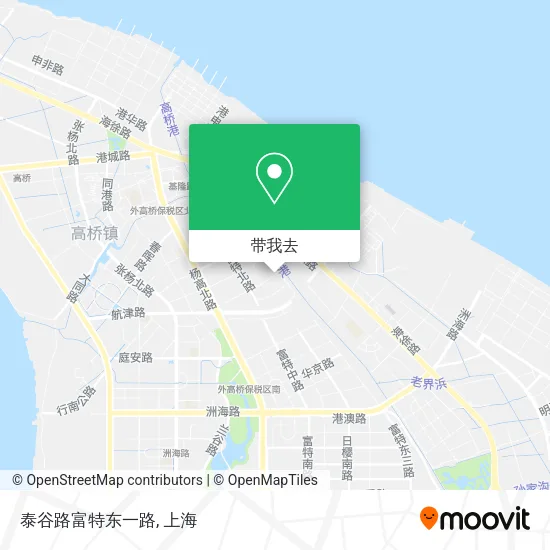 泰谷路富特东一路地图