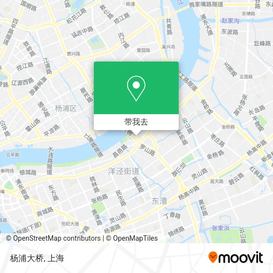 杨浦大桥地图