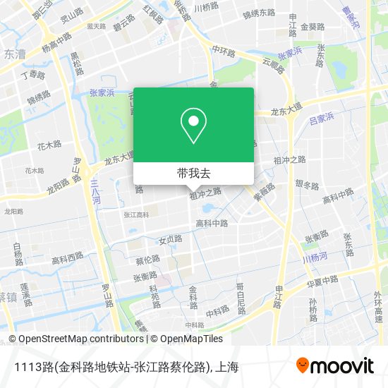 1113路(金科路地铁站-张江路蔡伦路)地图