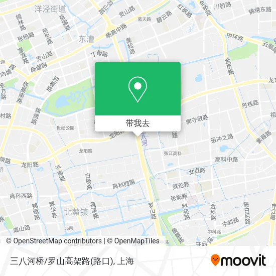 三八河桥/罗山高架路(路口)地图