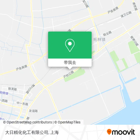 大日精化化工有限公司地图
