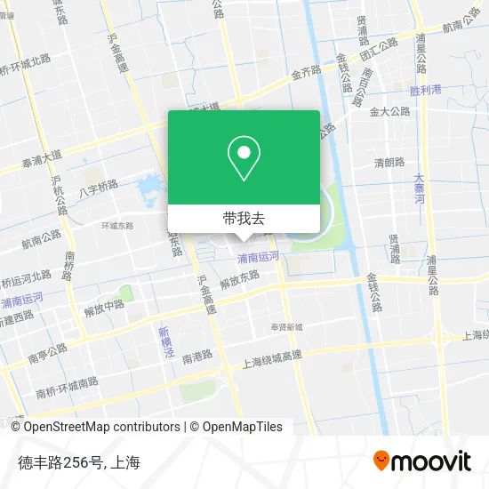 德丰路256号地图