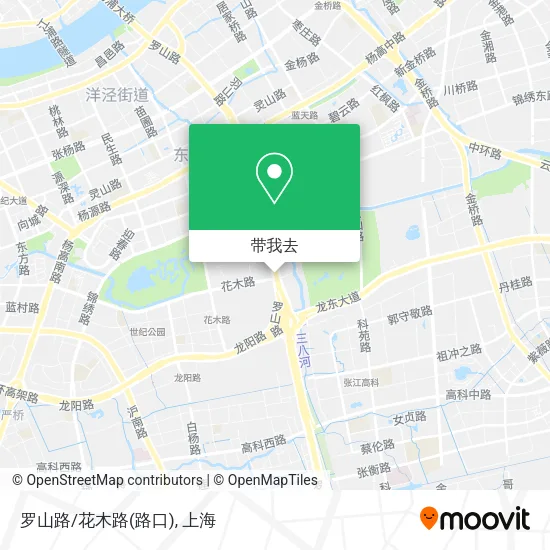 罗山路/花木路(路口)地图