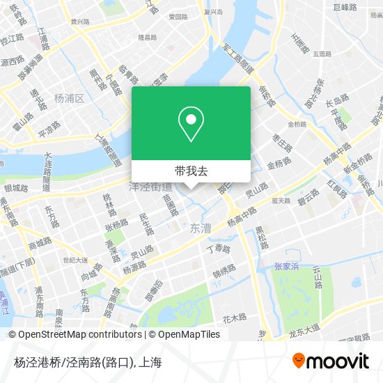 杨泾港桥/泾南路(路口)地图