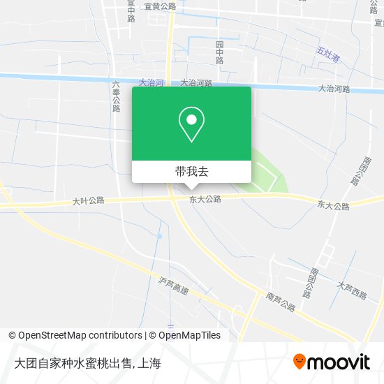 大团自家种水蜜桃出售地图