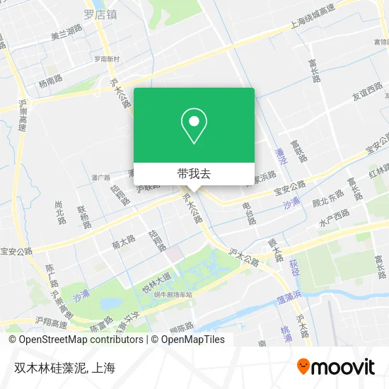 双木林硅藻泥地图
