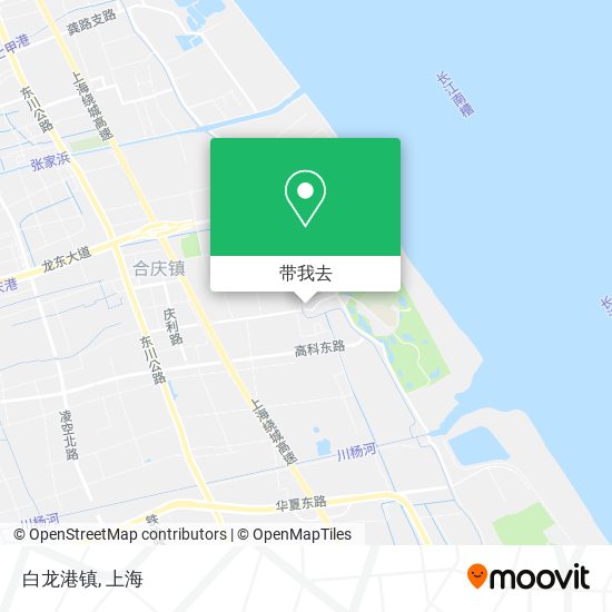 白龙港镇地图