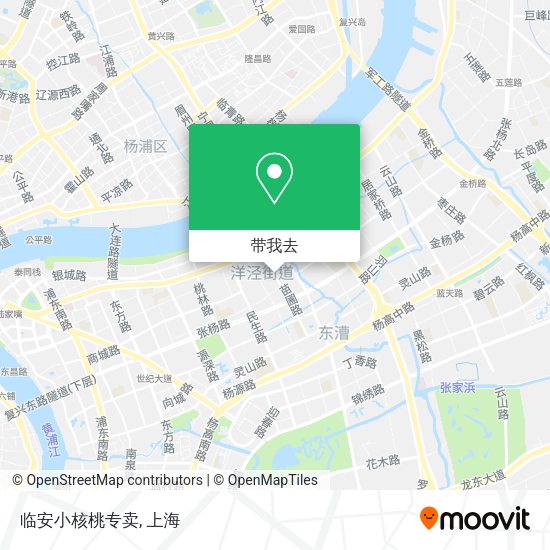 临安小核桃专卖地图