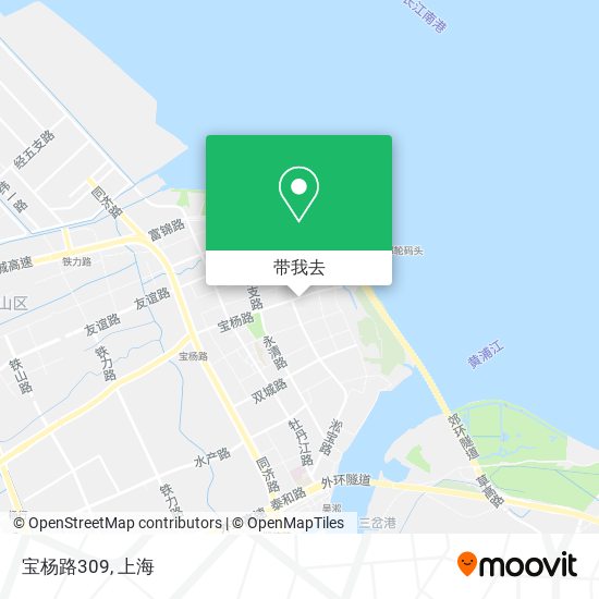 宝杨路309地图