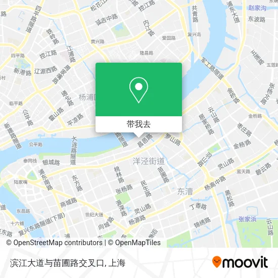 滨江大道与苗圃路交叉口地图