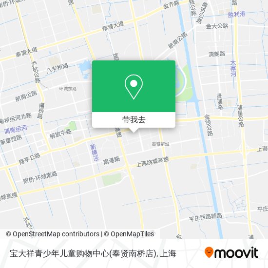 宝大祥青少年儿童购物中心(奉贤南桥店)地图