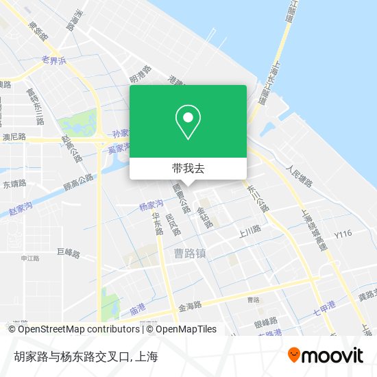 胡家路与杨东路交叉口地图