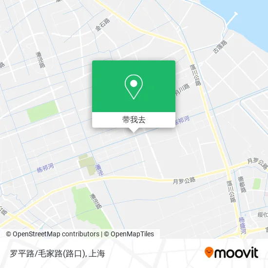罗平路/毛家路(路口)地图