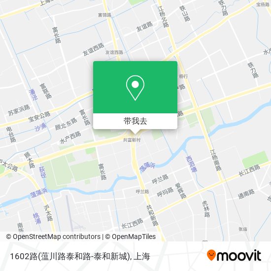 1602路(蕰川路泰和路-泰和新城)地图
