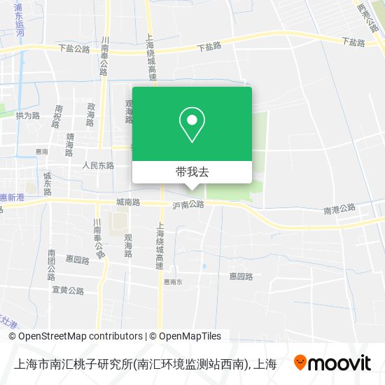 上海市南汇桃子研究所(南汇环境监测站西南)地图