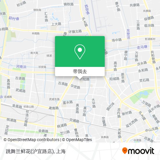 跳舞兰鲜花(沪宜路店)地图