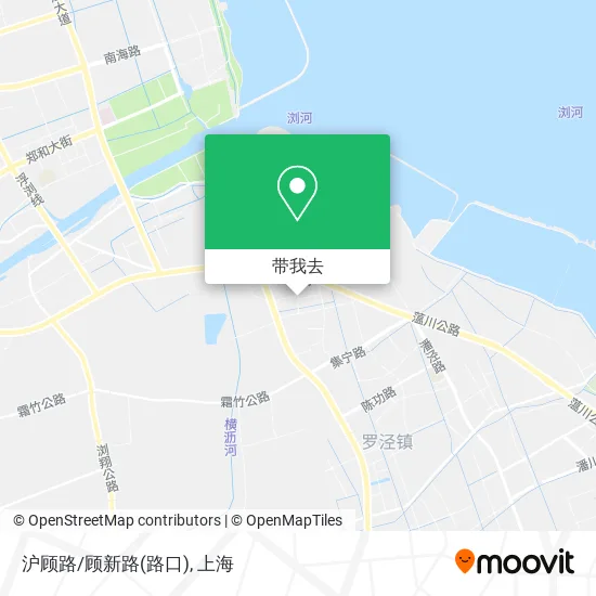 沪顾路/顾新路(路口)地图