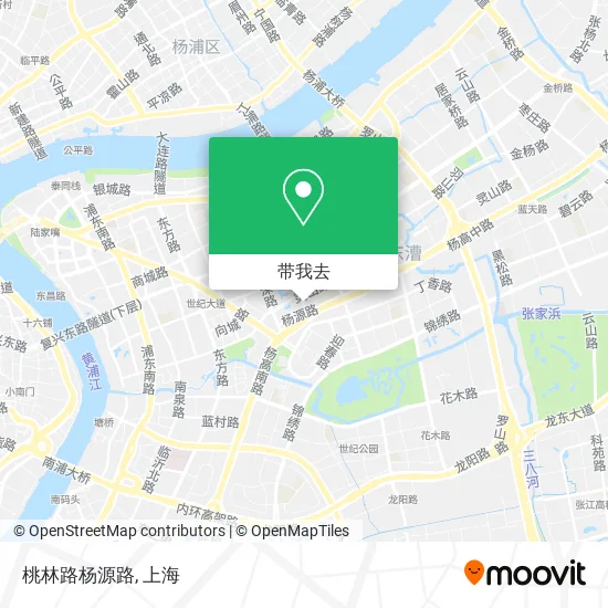 桃林路杨源路地图