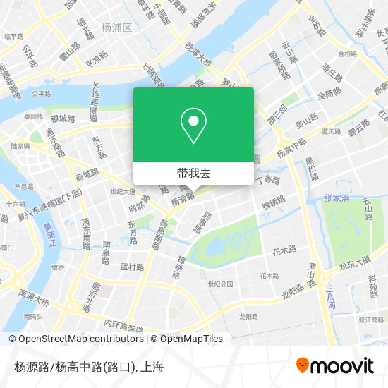 杨源路/杨高中路(路口)地图