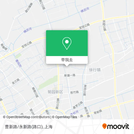 曹新路/永新路(路口)地图