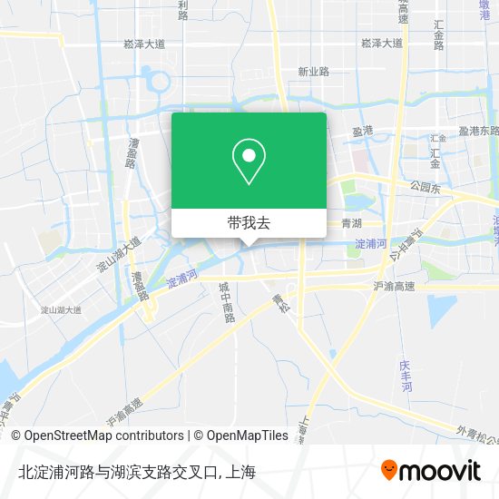 北淀浦河路与湖滨支路交叉口地图