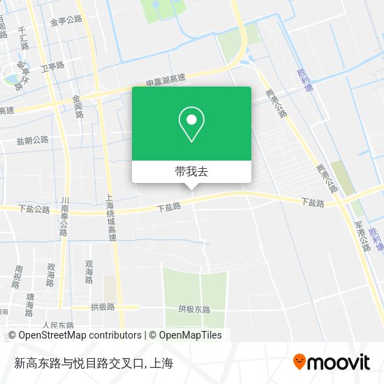 新高东路与悦目路交叉口地图