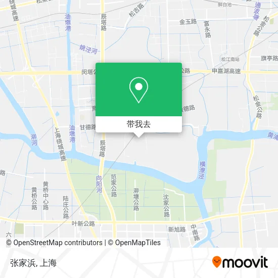 张家浜地图