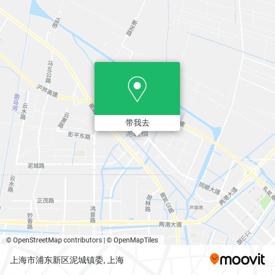 上海市浦东新区泥城镇委地图