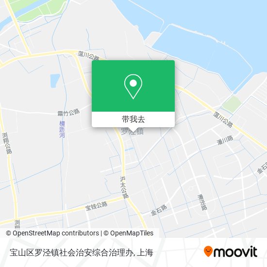 宝山区罗泾镇社会治安综合治理办地图
