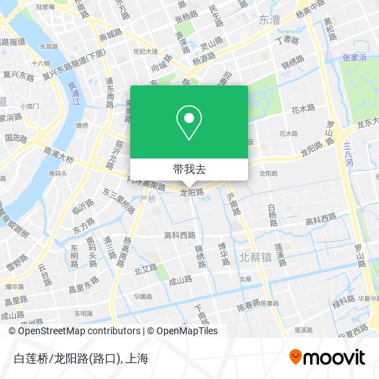 白莲桥/龙阳路(路口)地图