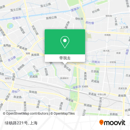 绿杨路221号地图