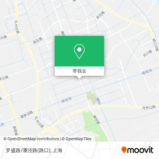 罗盛路/潘泾路(路口)地图