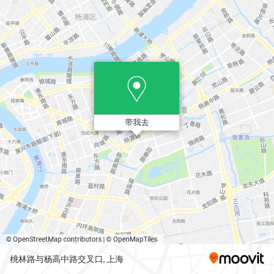 桃林路与杨高中路交叉口地图