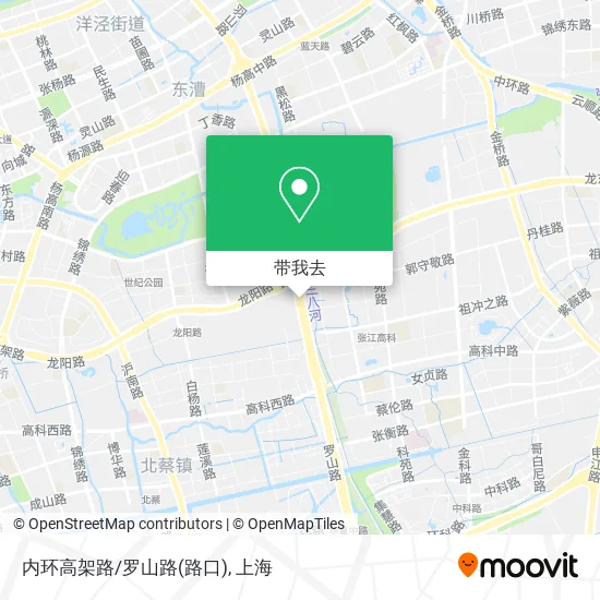内环高架路/罗山路(路口)地图
