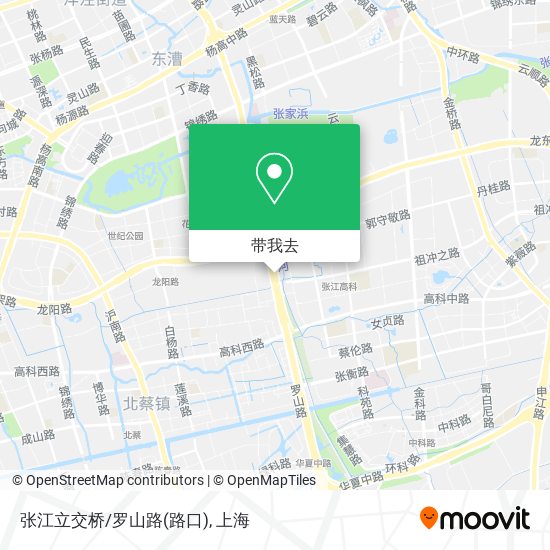 张江立交桥/罗山路(路口)地图