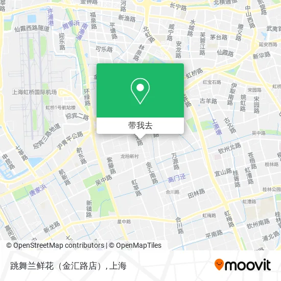 跳舞兰鲜花（金汇路店）地图