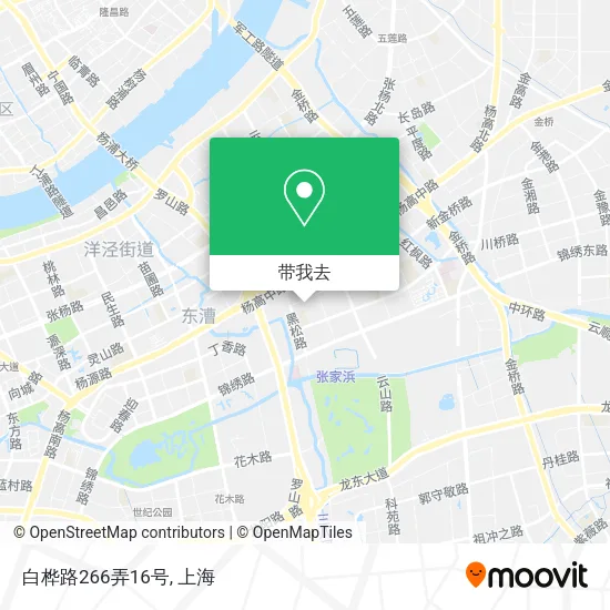 白桦路266弄16号地图