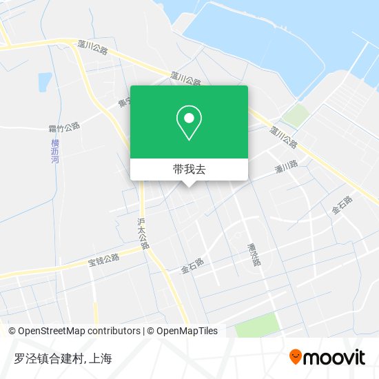 罗泾镇合建村地图