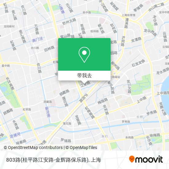 803路(桂平路江安路-金辉路保乐路)地图