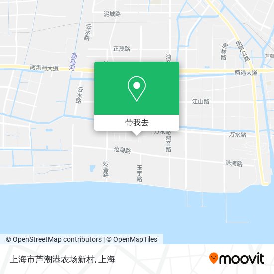 上海市芦潮港农场新村地图